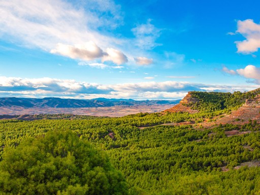 De sistemas aislados a una gestión unificada y sin duplicidades