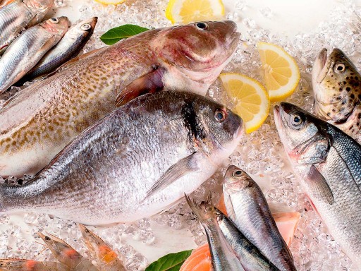 Formación automatizada por competencias